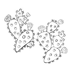 Cactus with colors black and white in the vector. Opuntia. Hand drawn illustration. Vector branch contour of Indian Fig prickly pear, prickly pear cactus isolated on white background.