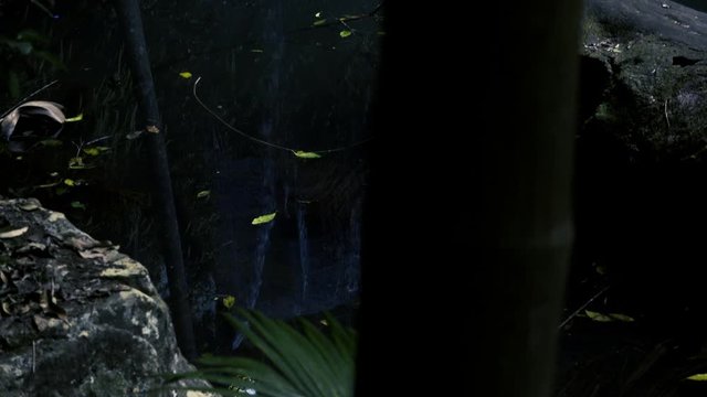 Curti Curtis Falls waterfall located in the Joalah Section of Tamborine National Park which is apart of the Gold Coast Hinterland, Queensland.