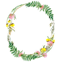 Watercolor drawing of wild meadow flowers, buds, inflorescences and leaves. Summer design. Design wallpaper, textiles, fabrics, textures, covers, packaging and wrapping paper. Design element .