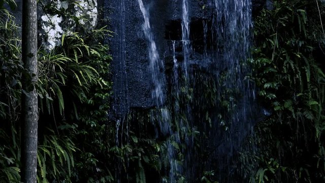 Curti Curtis Falls waterfall located in the Joalah Section of Tamborine National Park which is apart of the Gold Coast Hinterland, Queensland.