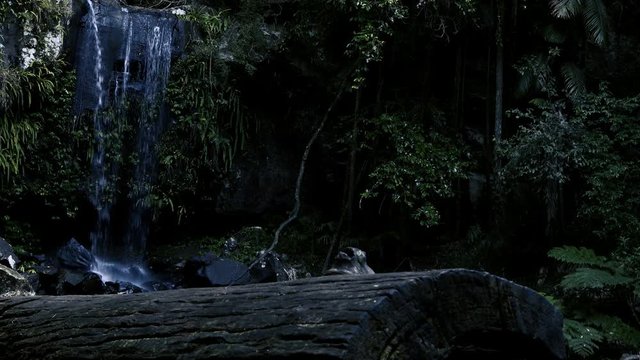 Curti Curtis Falls waterfall located in the Joalah Section of Tamborine National Park which is apart of the Gold Coast Hinterland, Queensland.