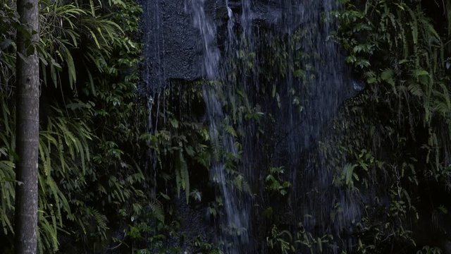 Curti Curtis Falls waterfall located in the Joalah Section of Tamborine National Park which is apart of the Gold Coast Hinterland, Queensland.