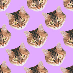 seamless cat head pattern on purple background - 285007414