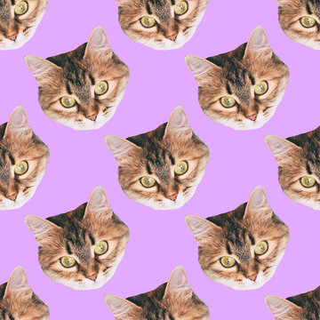 seamless cat head pattern on purple background