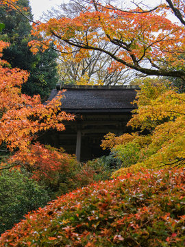 231 Best 那谷寺 Images Stock Photos Vectors Adobe Stock 231 Best 那谷寺 Images Stock Photos Vectors Adobe Stock