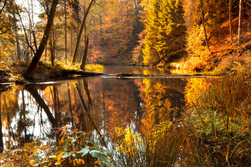 Beautiful colorful autumn river. Brda river, Poland - obrazy, fototapety, plakaty