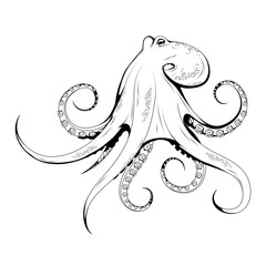 Hand Drawn Octopus. Sea Food. Octopus. Sea Fish.Tasty Seafood. Ocean Sport Fishing. Fresh Seafood Product. Delicious Octopus. Fish Meal Diet. Big Best Octopus. Fishing. Vector graphics to design.