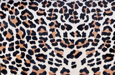 Leopard skin pattern on background 