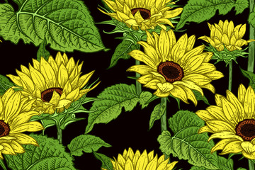 Nahtloses Blumenmuster mit blühenden Sonnenblumen. © marinavorona