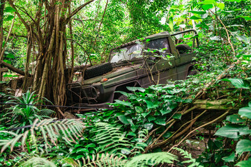 Old military broken jeep in jungle hit tree