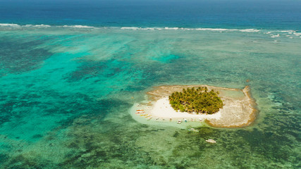 Naklejka na ściany i meble Tropical island with sand beach, palm trees by atoll with coral reef, top view. Guyam island, Philippines, Siargao. Summer and travel vacation concept.