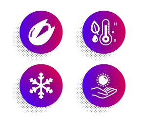 Snowflake, Thermometer and Pistachio nut icons simple set. Halftone dots button. Sun protection sign. Snow, Grow plant, Vegetarian food. Ultraviolet care. Nature set. Vector