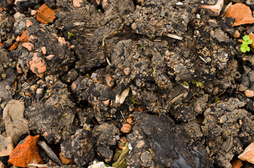 solidified tar background, construction garbage