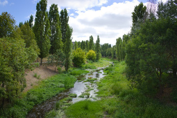Fototapeta na wymiar River surrounded by trees 