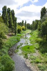 Fototapeta na wymiar River surrounded by trees