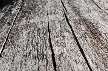 Texture of fallen solid wood
