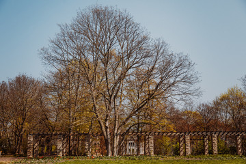 Obraz premium Thüringen Park Erfurt 