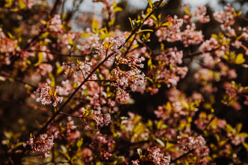 Thüringen Park Erfurt 