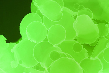 Colorful hand painted alcohol ink background. Abstract delicate texture. Contemporary wallpaper.