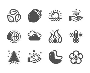 Set of Nature icons, such as World water, Fire energy, Cloudy weather, Thermometer, Leaves, Sunset, Christmas tree, Natural linen, Wind energy, Cashew nut, Acorn, Sunny weather. Vector