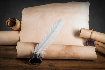 Feather with inkwell on the background of papyrus scrolls