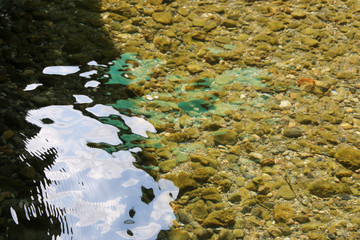 reflection of trees in water – dim river alanya