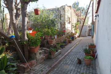 Fototapeta na wymiar Nicosia City View. Old Town. Cyprus. Border street.