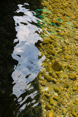 reflection of trees in water – dim river alanya
