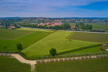 Fototapeta na wymiar Aerial photography with drone. Grape plantation top view, Italy.