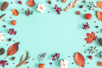 Autumn or winter composition. Dried leaves, cotton flowers on pastel blue background. Autumn, fall, winter concept. Flat lay, top view, copy space