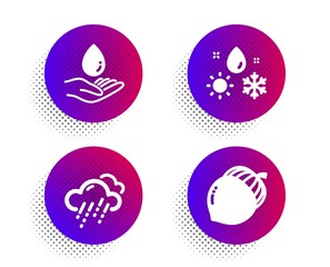 Water care, Weather and Rainy weather icons simple set. Halftone dots button. Acorn sign. Aqua drop, Climate, Rain. Oaknut. Nature set. Classic flat water care icon. Vector