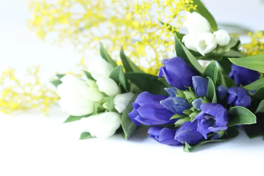 リンドウとオミナエシの花束 Stock Photo Adobe Stock