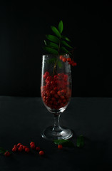 Beautiful, red, bright, ripe mountain ash with leaves, with splashes, with droplets in a glass of wine. Rowan in a glass of wine with water drops on a concrete background.
