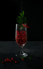 Beautiful, red, bright, ripe mountain ash with leaves, with a stream of water, with splashes, with droplets in a glass of wine. Rowan in a glass of water.