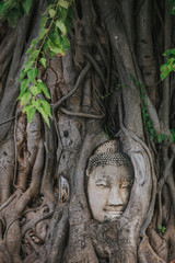 Amazing details of the Wat Maha That temple with the ruins of the Buddha statues.  UNESCO Worl Heritage site.