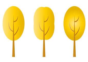 Árboles con las copa amarilla por el otoño.