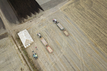 Tractors transport hay bales after harvest