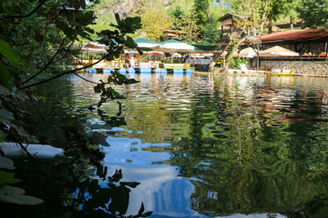 reflection of trees in water – dim river alanya