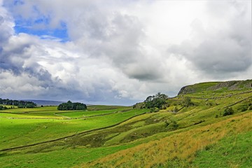 Fototapeta na wymiar Austwick meadow path to the Norber Erratics 4, Austwick, Yorkshire Dales, England