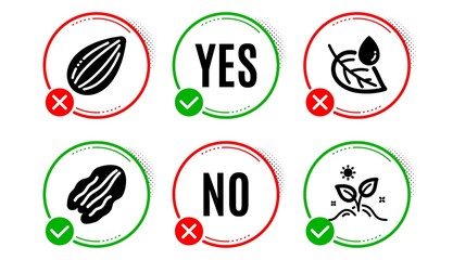 Leaf dew, Almond nut and Pecan nut icons simple set. Yes no check box. Grow plant sign. Water drop, Vegetarian food, Leaves. Nature set. Leaf dew icon. Check mark. Vector