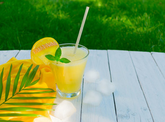  Bright melon smoothie with mint and lemon on a background of fresh green grass. Copy space. Concept of summer cooling drinks.