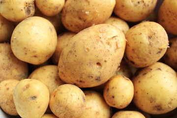  Fresh yellow potatoes close-up.