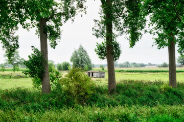 Farm with trees in flanders