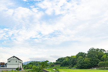 Fototapeta na wymiar Landscape of Nara