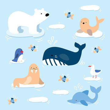 Arctic Animal and Fish Child Graphic Illustration