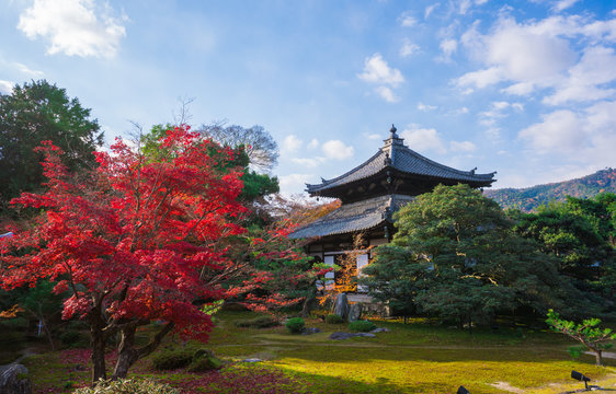 鹿王院 Photos Royalty Free Images Graphics Vectors Videos Adobe Stock