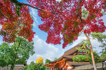 京都　八坂神社の本殿と紅葉