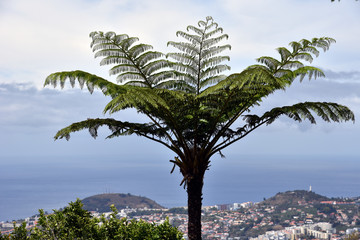 Fototapeta na wymiar Panoramic view on the Funchal city - Madeira Island, Portugal. 