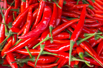 hot chilli peppers in the market