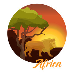 African wild life and animals vector illustration. African wildlife, animals and nature concept. Sunset in Africa with lion, baobab and typography circled badge.